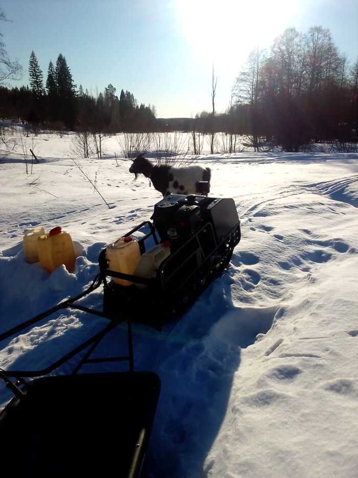 Набираю питьевую воду на колодце