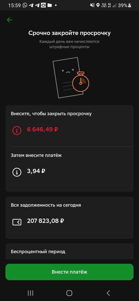 Здесь изображены мои долги