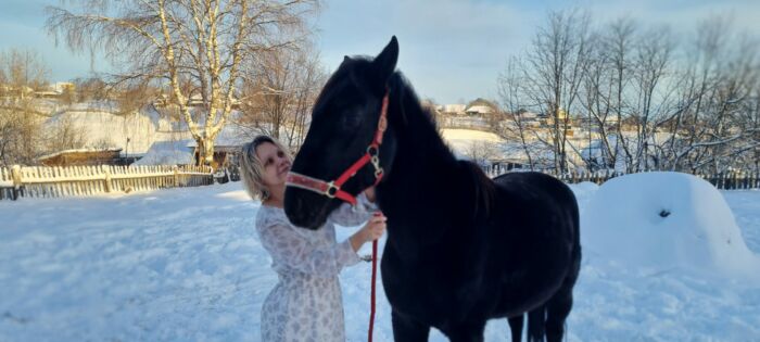 Наш первый конь, выкупленный 3 месяца назад