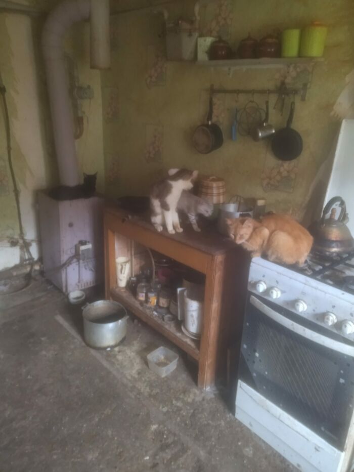 Кухня без ремонта