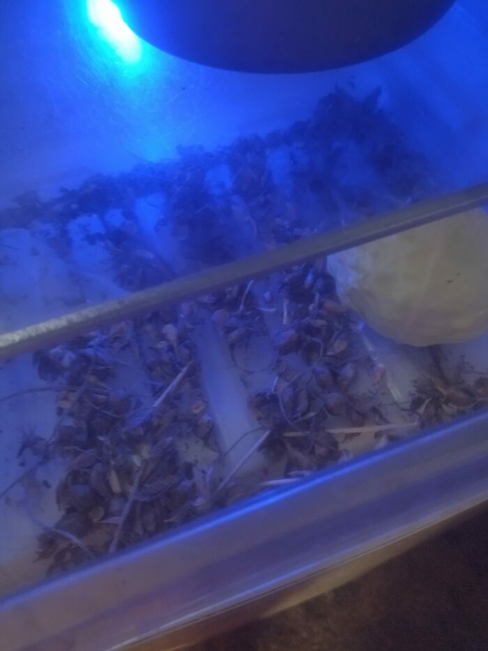 Это холодильник пустой